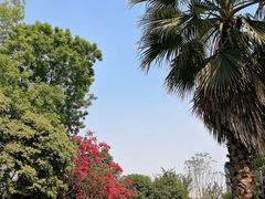 -府河摄影公园