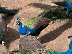 -水上乐园·欢乐世界