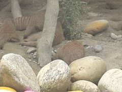 -国色天乡三期陆地乐园