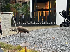 -J Create城市露营咖啡·简餐·宠物(上海动物园店)