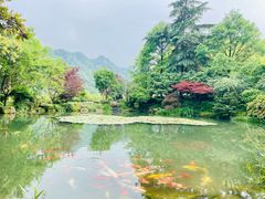 -中国茶叶博物馆(双峰馆区)