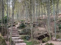 -大本营竹筒饭