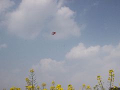 -中国天府农业博览园