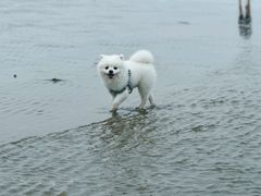 -江山半岛白浪滩景区