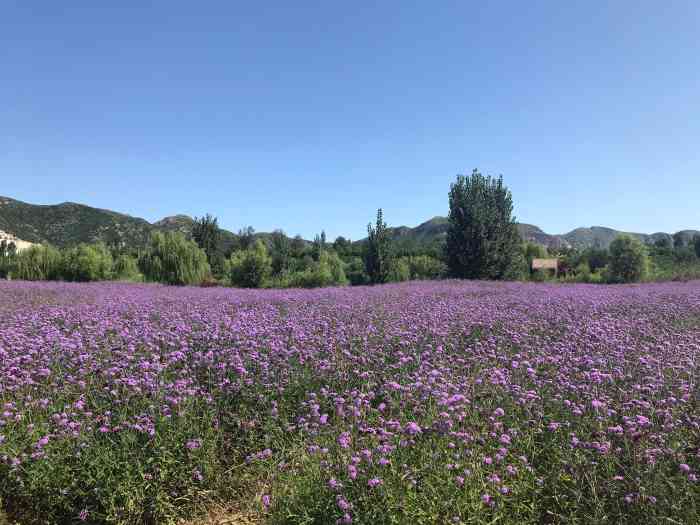 神湖四季温泉小镇-"环境很棒,饭菜很好吃,订餐免门票,6.7.