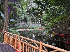 -二荆条·蜀鲜汇城市森林火锅