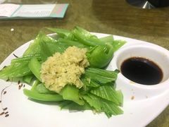 -有心德(麦地店)