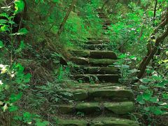 -黄陂区野村谷景区