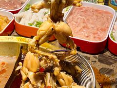 -铭记蛙小仙·活蛙畅享(CBD万达广场店)