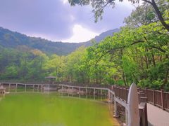 -沂蒙山旅游区云蒙景区(蒙山国家森林公园)