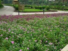 -南国桃园旅游度假区