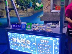-泉城欧乐堡海洋极地世界