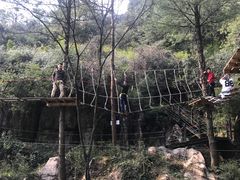 -梦幻奥陶纪景区