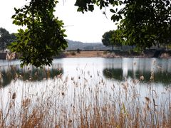 -游子山休闲旅游区