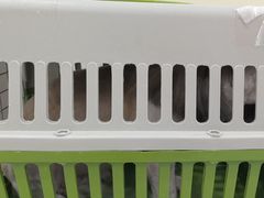 -天宠宠物医院24小时·急重症诊疗中心·全科·腔镜特色(和平分院)