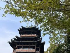 -杭州半山国家森林公园