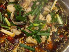 -乡土特色.冷锅鱼.牦牛肉汤锅