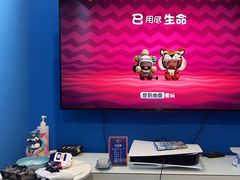 -浣熊部落ps4 ps5 switch 电玩(茶店子店)