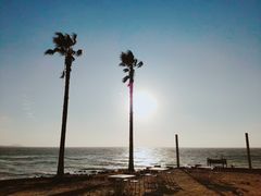 景观位-Cafe Aewol Monsant