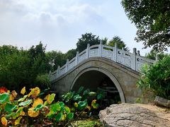 -花溪公园