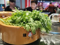 -龍歌自助小火锅(市北和达中心城店)