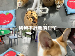 -LaFBagel手作烘焙工作室