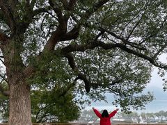 -东钱湖旅游度假区