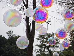 -人民公园(罗湖区)