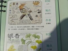 -上海植物园-4号门售票处