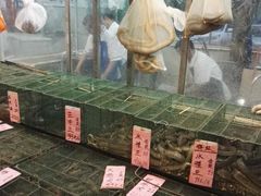 -荔城生鲜盛宴(番禺旗舰店)