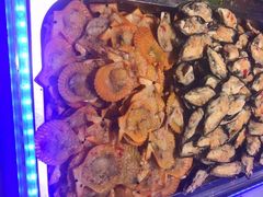 -非烤勿扰自助烤肉(阳江百利广场店)
