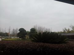 -金银湖国家城市湿地公园