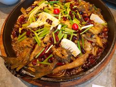 -老板恋上鱼(恒隆广场店)