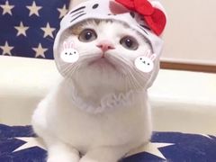 -烁佳海鲜大馅饺子