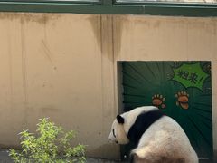 -天津市动物园