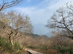 -北仑森林植物园