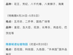-洛阳市隋唐城遗址植物园