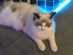 -零纪元VR体验馆·桌游(黄浦店)