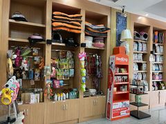 -瑞派名望志远动物医院·猫科·內科·异宠专科(直港大道店)