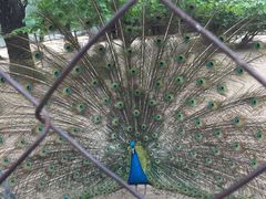 -祥源·阜阳生态乐园