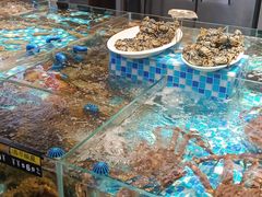 -映像威海·海鲜味道(市区店)