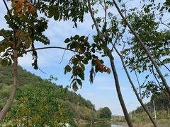 -青龙山国家森林公园