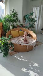 -Baby Pastel 自然光儿童摄影(CBD店)