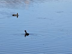 -野鸭湖国家湿地公园