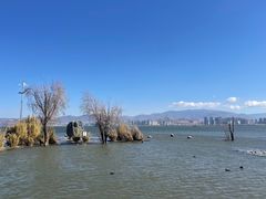 -洱海月湿地公园