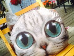 iphone_upload_pic-海边的猫和咖啡馆