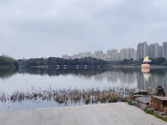 -南翔镇银翔湖公园