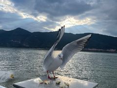 -滇池海埂公园