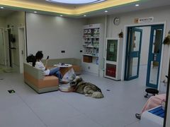 -达爱动物医院·犬猫分区·CT·复杂眼科(远洋山水分院)