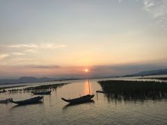 -盐洲岛